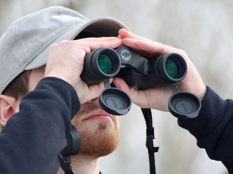 Trend Alert — Google’s AI Overviews: Real-World SEO Reactions and What Content Teams Should Do Next