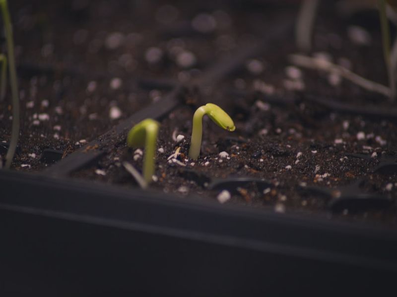 From Zero to Hero: A How-To Journey in Building the Ultimate Email Subscriber List